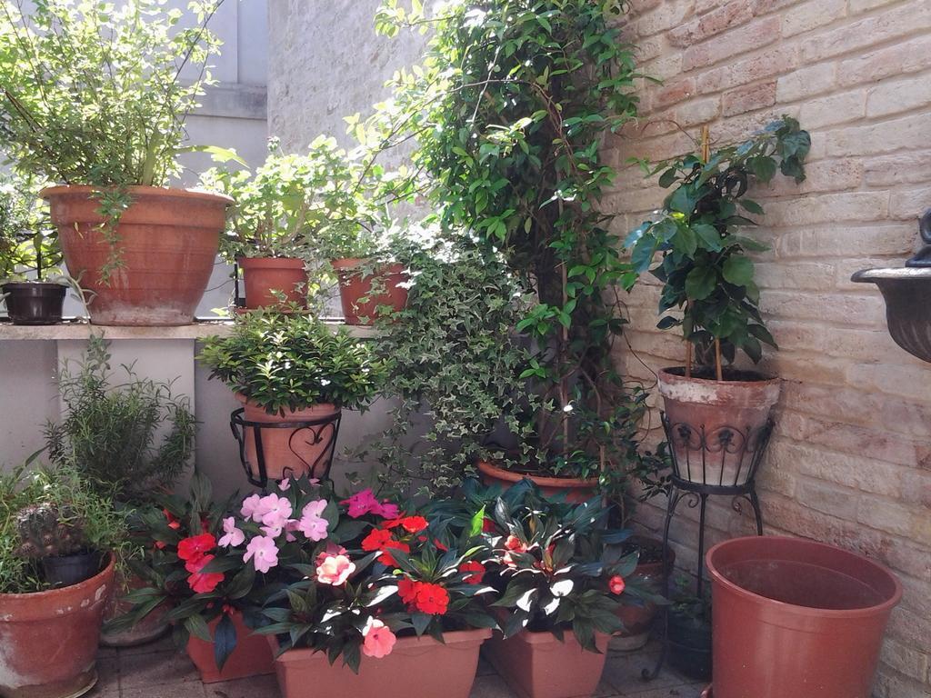 Il Covo Dei Piccioni Bed & Breakfast Castelfidardo Exterior photo